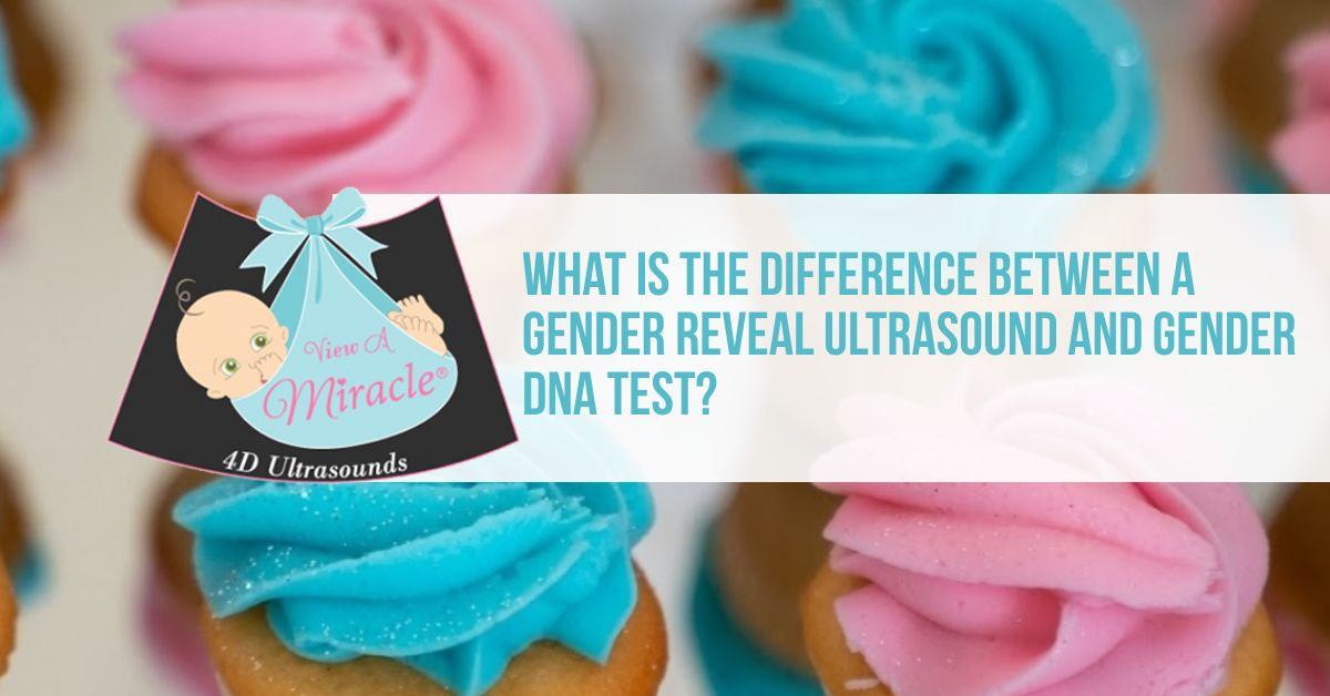 What is the Difference Between a Gender Reveal Ultrasound and Gender DNA Test?